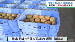宮城県蔵王町で梨の出荷始まる　関係者が作業の安全を祈願