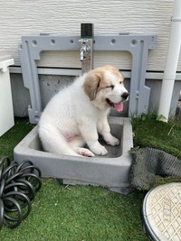 まだこんな小さなところにも入れます（画像提供：@manabunwdylさん）