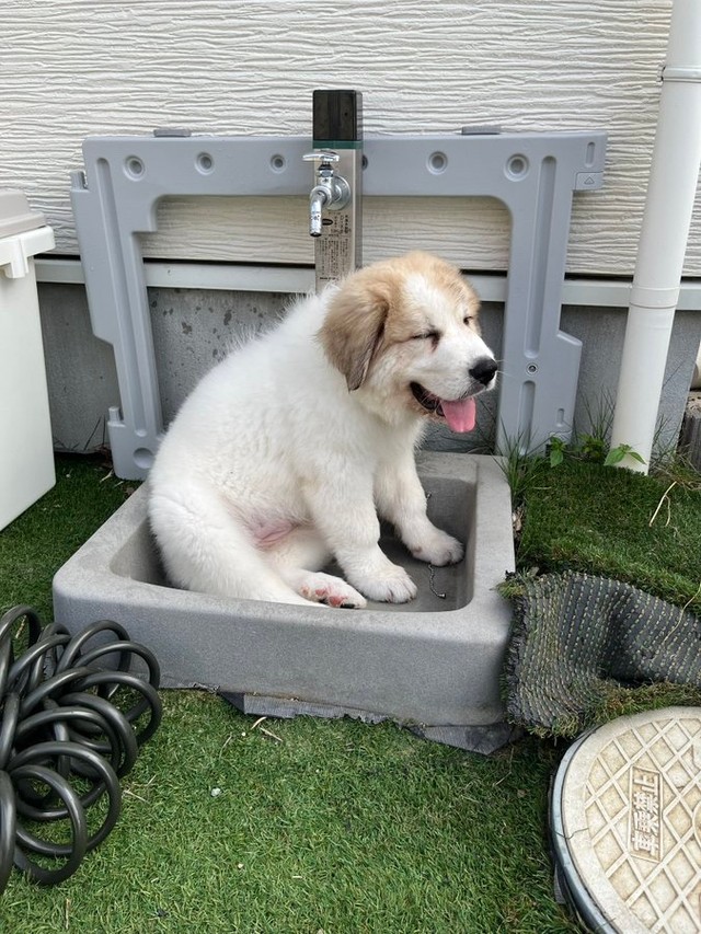 まだこんな小さなところにも入れます（画像提供：@manabunwdylさん）