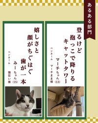 あるある部門入選作