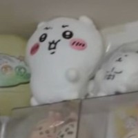ダイソーの「ディスプレイケース」で壁に飾る／投稿主さん提供