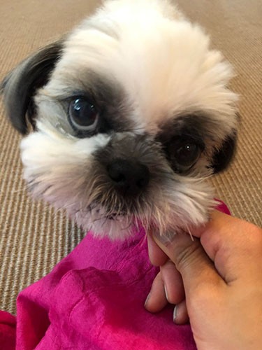 「おいしいおやつ　ありがうね　かーちゃん」