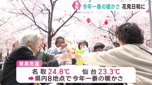 宮城県各地で今季一番の暖かさ　花見の名所にぎわう