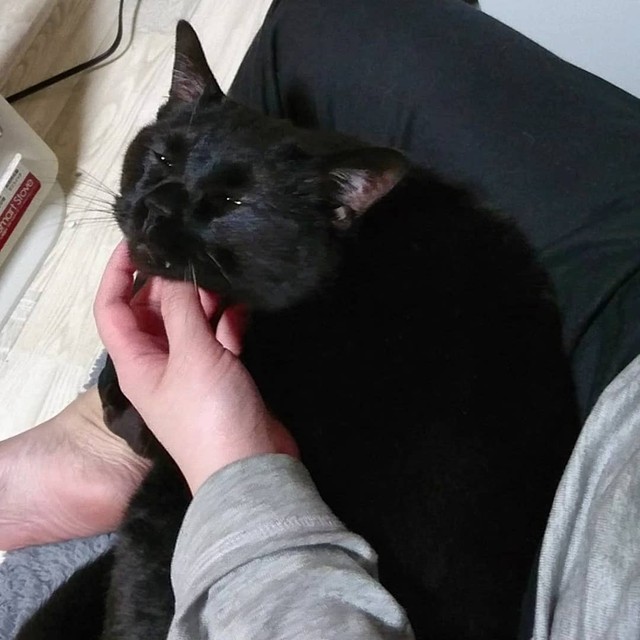 同居するなつちゃんが起きる前にママを独り占め