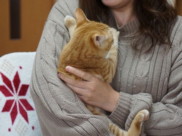 麻緒さんに抱かれるぷぅー