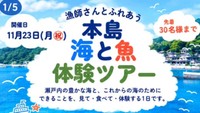 SETO BLUE提供