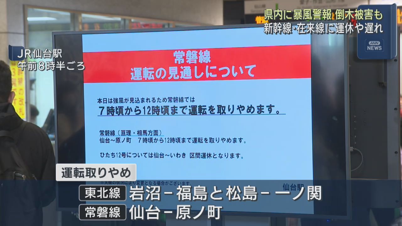 宮城県に暴風警報　倒木被害や交通機関に乱れ