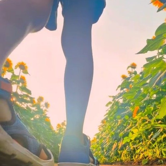 映画のワンシーンのような映像に！（とちひめさん提供、Instagramよりキャプチャ撮影）