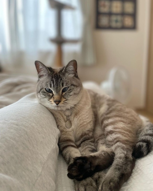 人間のような風貌のルースちゃん＝chako_nakaさん提供