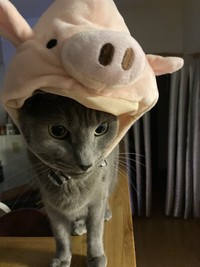 積み重ねてきた思い出はたくさん