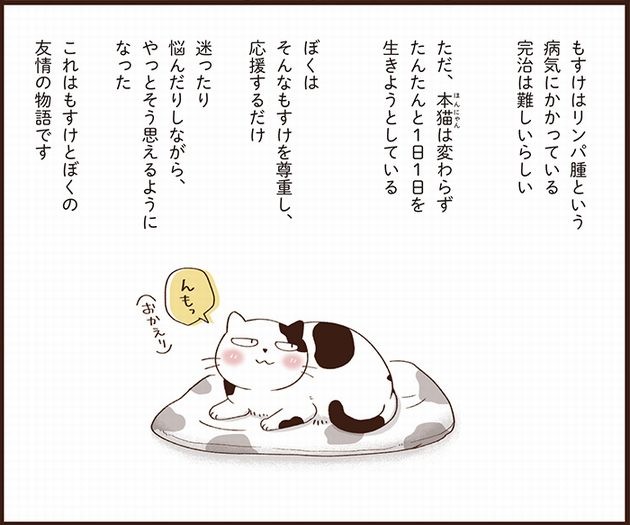 『まんがで読む　はじめての猫のターミナルケア・看取り』から