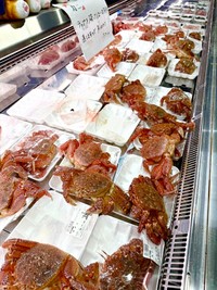 店主が出勤すると脱出していた毛ガニ（画像提供：荒木鮮魚店 あらきゆうき 【あらっきー】さん）