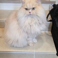 もふた写真1（横山了一さん提供）