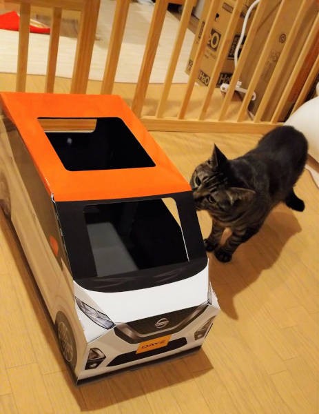 クンクンにおいをかぐ“モモちゃんチェック”