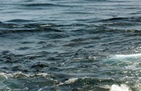 黒潮が生き物みたいに動いてる！？※画像はイメージです（SAIGLOBALNT/stock.adobe.com）