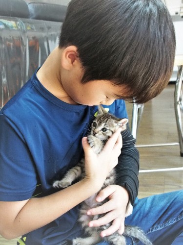 柔らかくて小さないのち