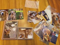 ユズちゃんの思い出の写真（提供写真）