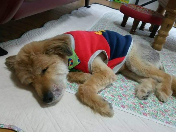 介護が必要になり、室内にいるように