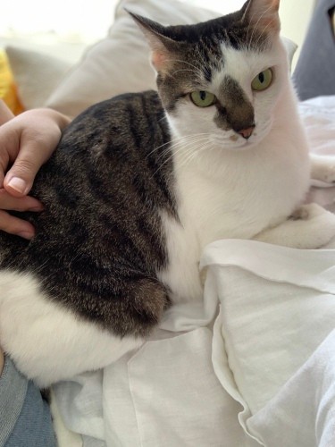 体に気を付けて、新たな環境で家族みんなで楽しくすごそう！！（晴美さん提供）