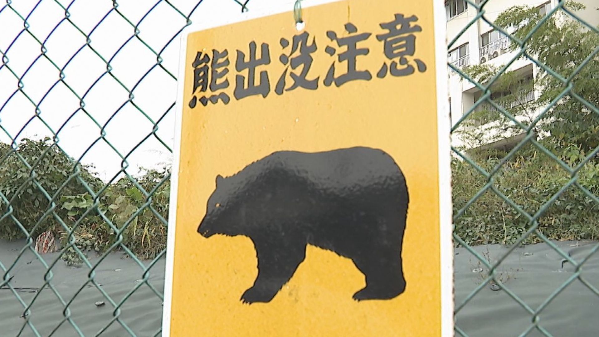 宮城大学大和キャンパスでクマの目撃情報　宮城・大和町