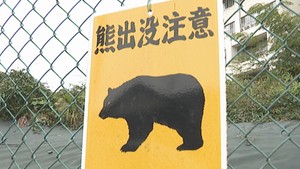 【詳細】宮城県内クマ目撃情報（４日午後３時時点）