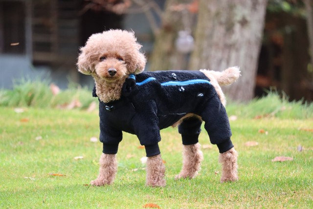 ゼロフリースオーバーオール