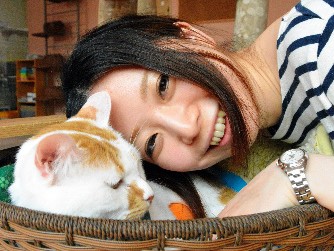 保護猫カフェで飼い主探し　盛岡のＮＰＯ「もりねこ」