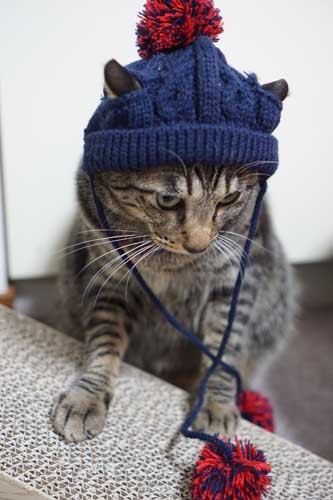 寒いから風邪にも気をつけてください