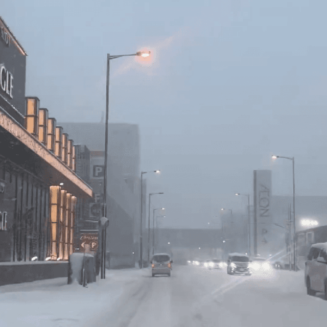 この道を車で…？