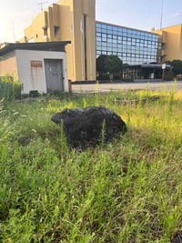こちらが熊に見えた岩（MT）