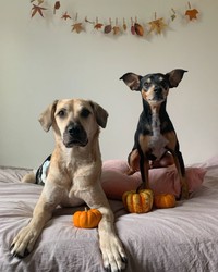 ボクたちカッコイイでしょ