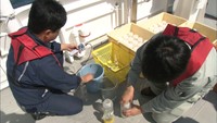 排水などの影響受けやすい瀬戸内海　香川県が高松市沖などで水質を調査