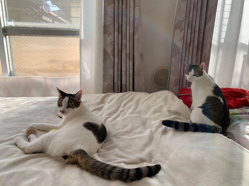 「ビビリな2匹だから一緒でよかった」と小島さん