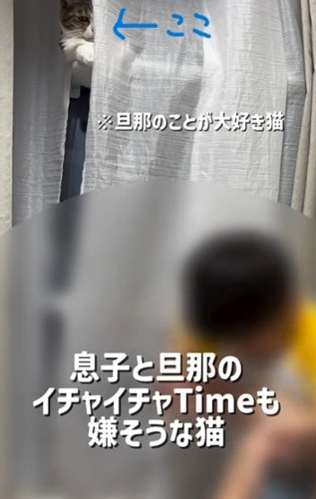 息子さんと旦那さんが仲良くしている時も監視しているくるみちゃん（ましゅくるさん提供、Instagramよりキャプチャ撮影）