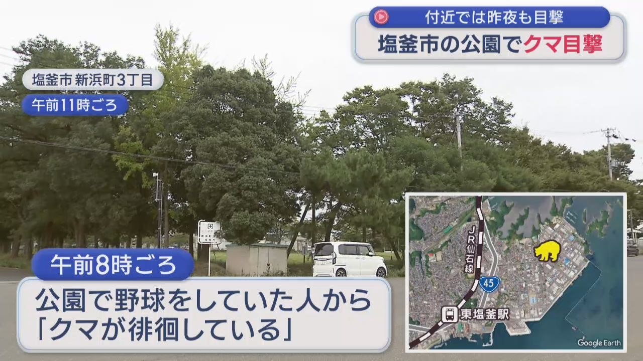 宮城・塩釜市の公園でクマ目撃　前夜も付近で目撃　市内のクマ目撃は初めて