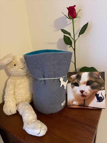 今は自宅の日当たりのいい場所にいるメイちゃん。毎朝毎晩のあいさつをかかすことはないそう（かおりさん提供）