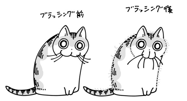 ブラッシング前と後（提供：キュルZさん）