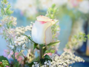 喧嘩をしていた彼が、私の母のために花束を持って駆けつけてくれた日