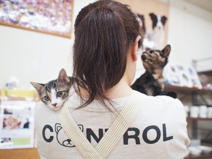 兄妹はボランティアメンバーの裕美さんのもとですくすく育つ