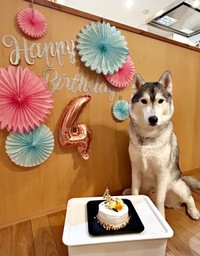 4歳の誕生日を迎えたはるくん（画像提供：motoさん）
