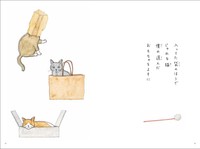 中身より袋の方が好き（提供）