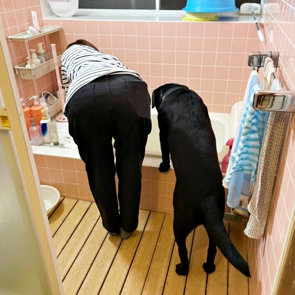 ママと一緒にお風呂をのぞく小梅ちゃん（画像提供：こうめさん）