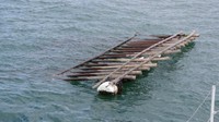 海上保安部が漂流物に注意呼び掛け　台風6号の影響とみられる「カキ養殖いかだ」など回収　岡山