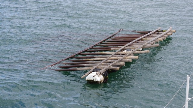 海上保安部が漂流物に注意呼び掛け　台風6号の影響とみられる「カキ養殖いかだ」など回収　岡山