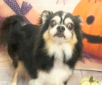 ハルくん、いつまでも幸せにね！