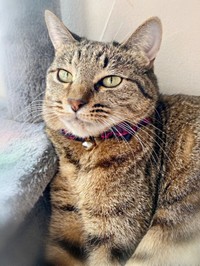 怖がりな楓ちゃん（画像提供：ねここさん）