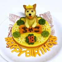 18歳を迎えた柴犬・チャコちゃんの誕生日ケーキ（画像提供：ちゃーくん）