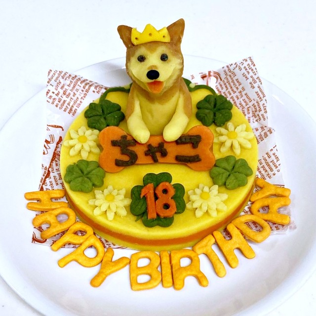 18歳を迎えた柴犬・チャコちゃんの誕生日ケーキ（画像提供：ちゃーくん）