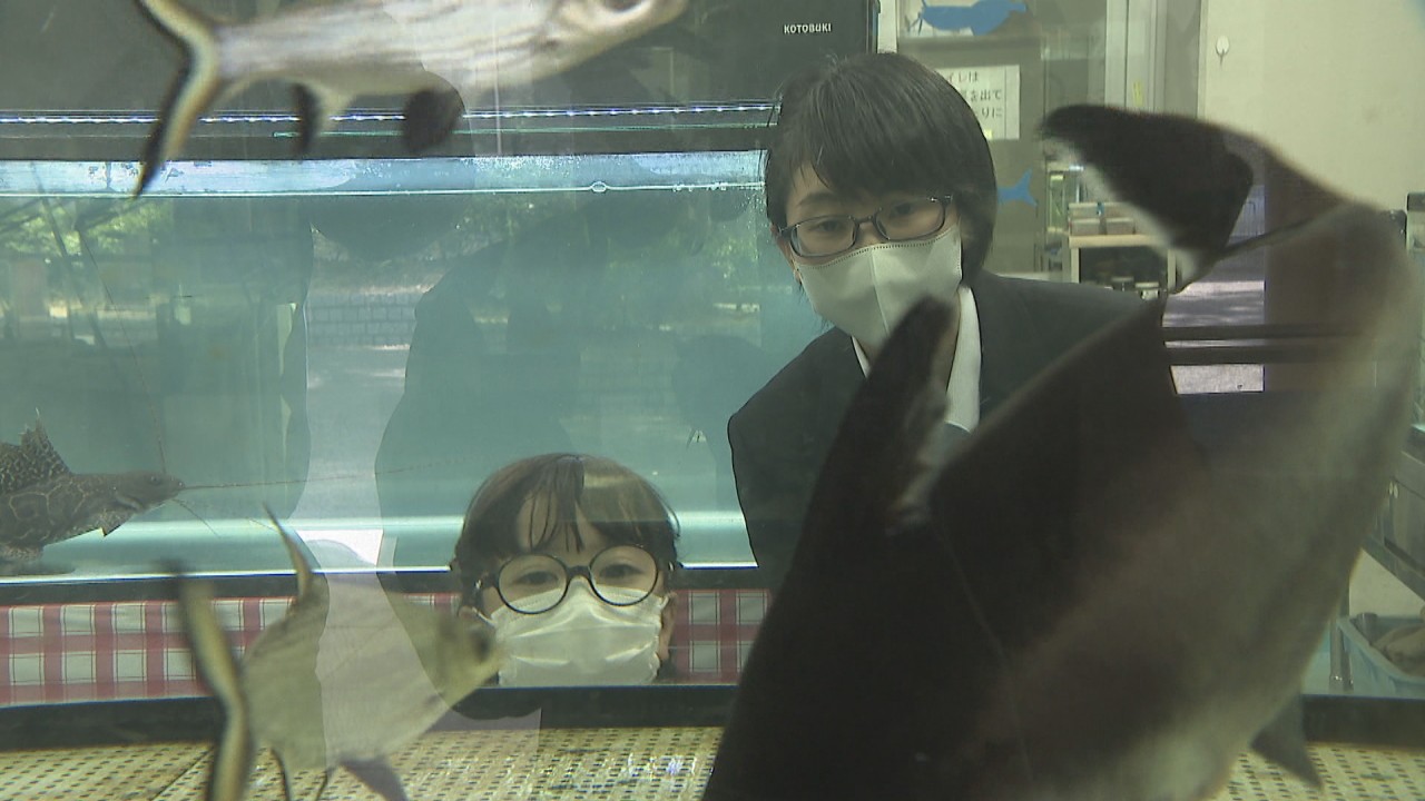 スッポンモドキと触れ合いも 高校の「ミニ水族館」を特別支援学校の
