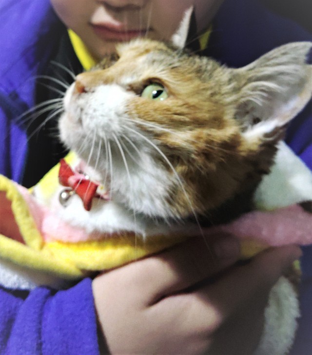 海老塚さんのお子さんに抱っこされるとみこさん（海老塚さん提供）